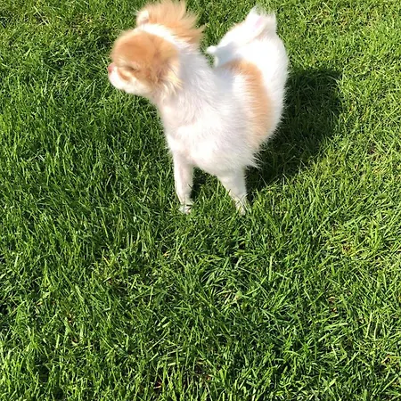 Am Westerwaldsteig In Birnbach *